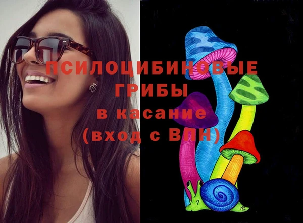 шишки Алексеевка