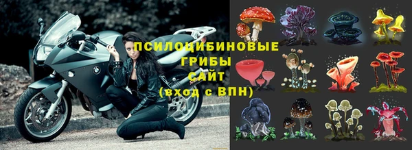шишки Алексеевка